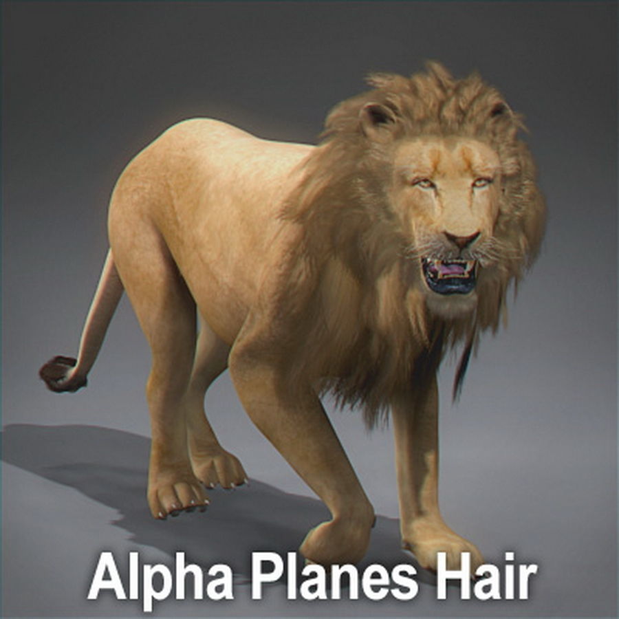Animated Lion 3D model_9