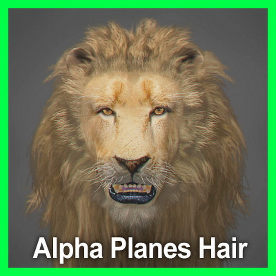 Animated Lion 3D model_8
