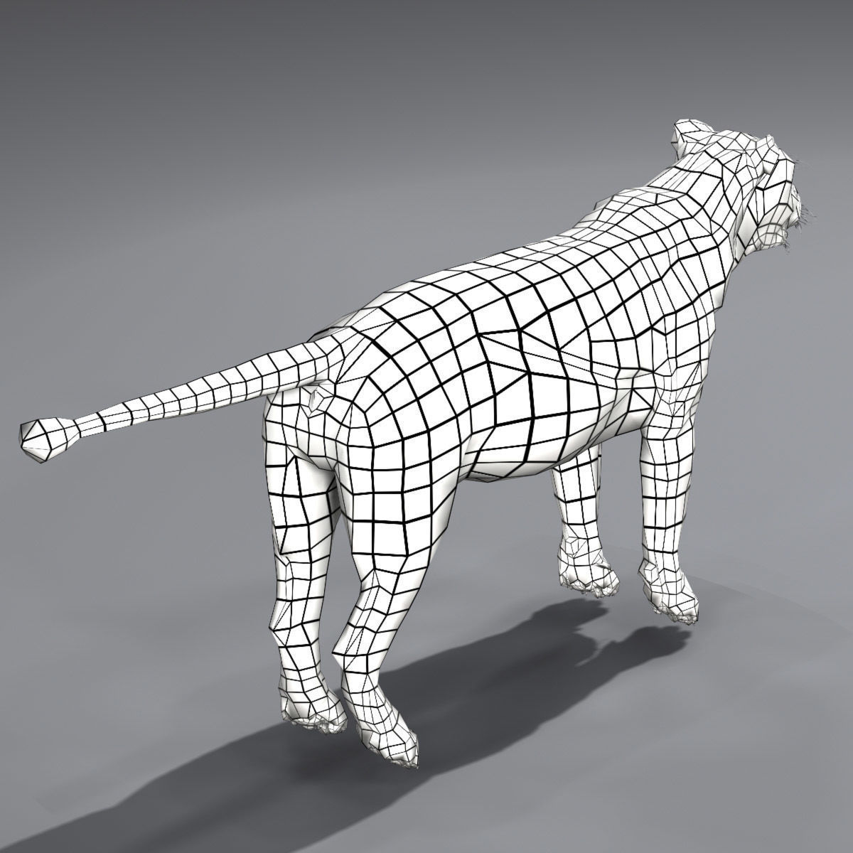 Animated Lion 3D model_16