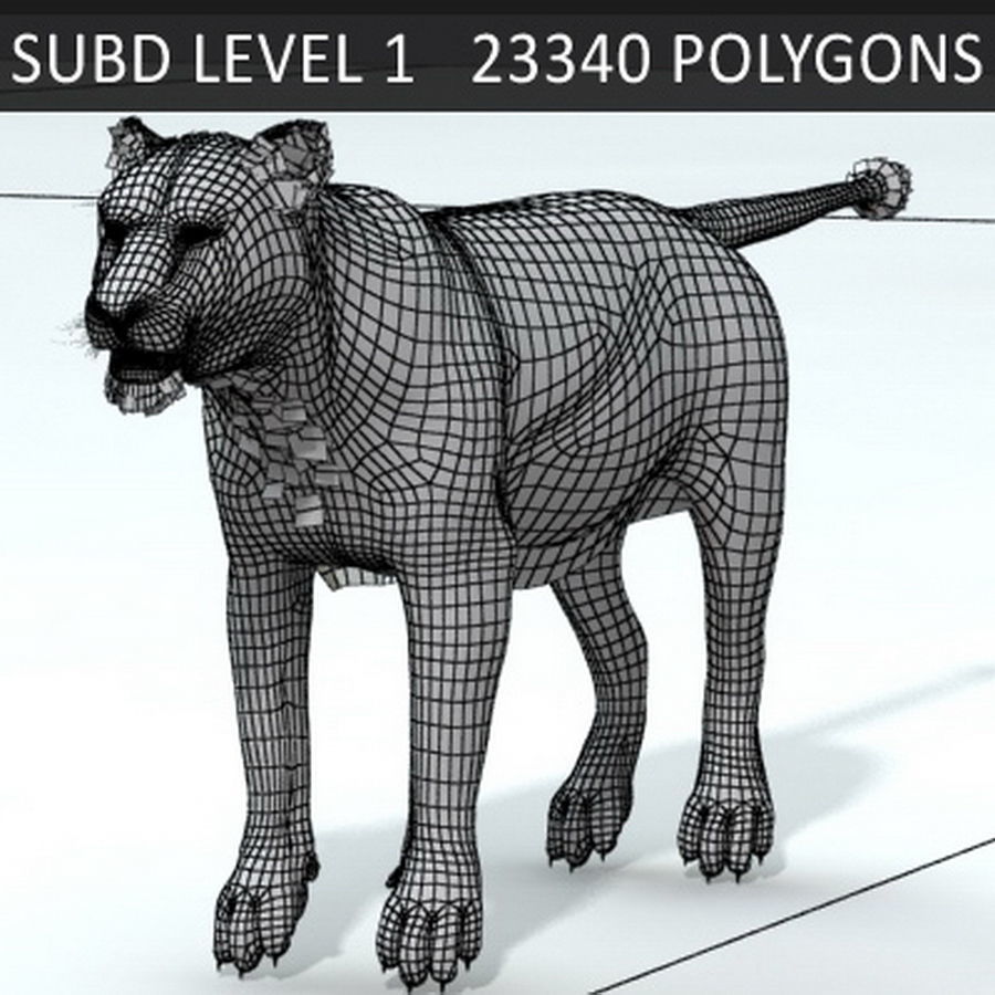 Animated Lion 3D model_21