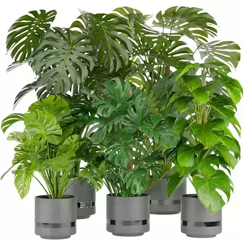 Collection plant vol 264 - indoor 3D model