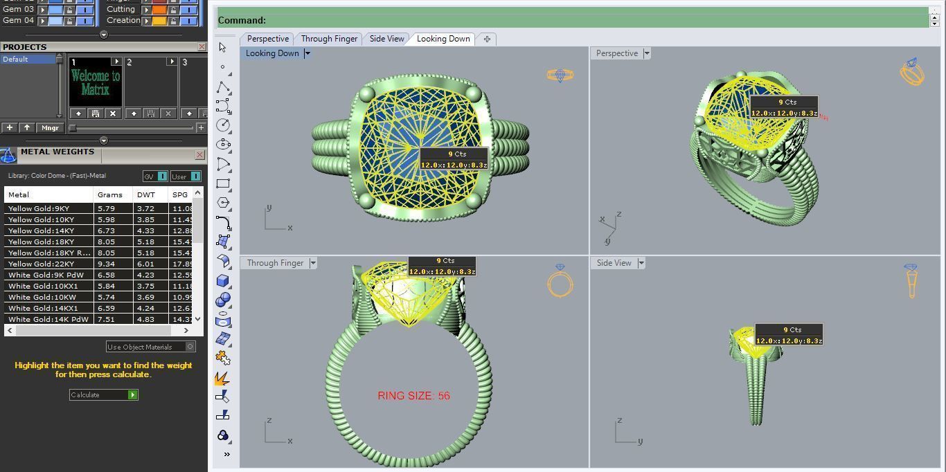 Ring R 025 3D print model_3