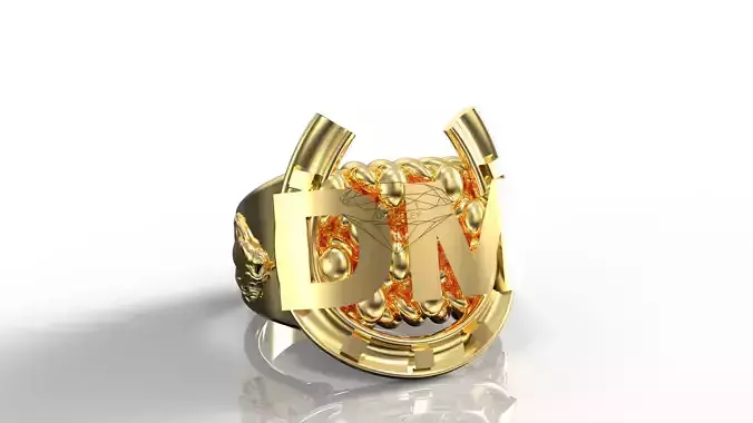 DM Initial horse shoe and keeper ring hybrid