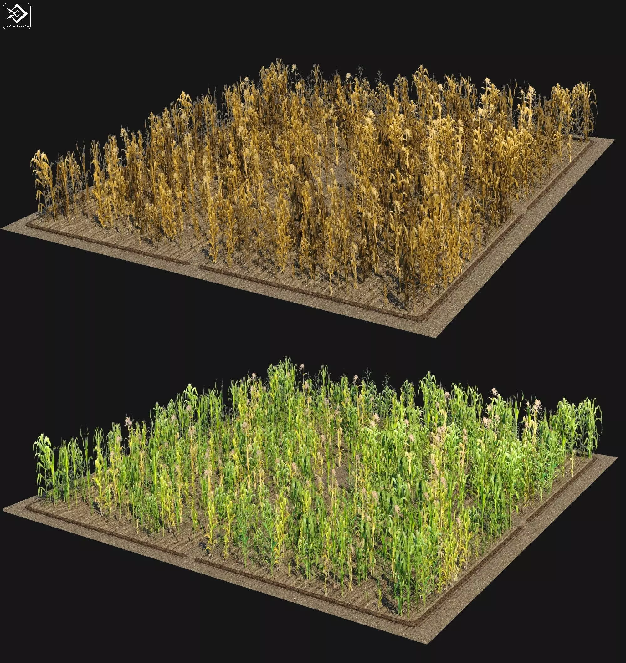 Corn Farm Low-poly 3D model_0