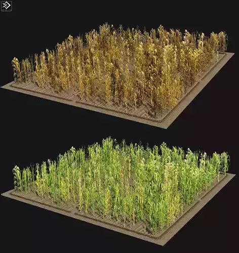 Corn Farm Low-poly 3D model
