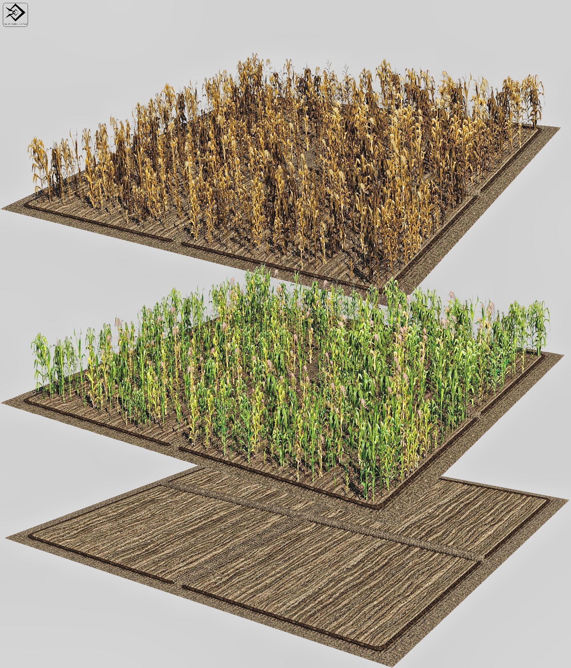 Corn Farm Low-poly 3D model_1