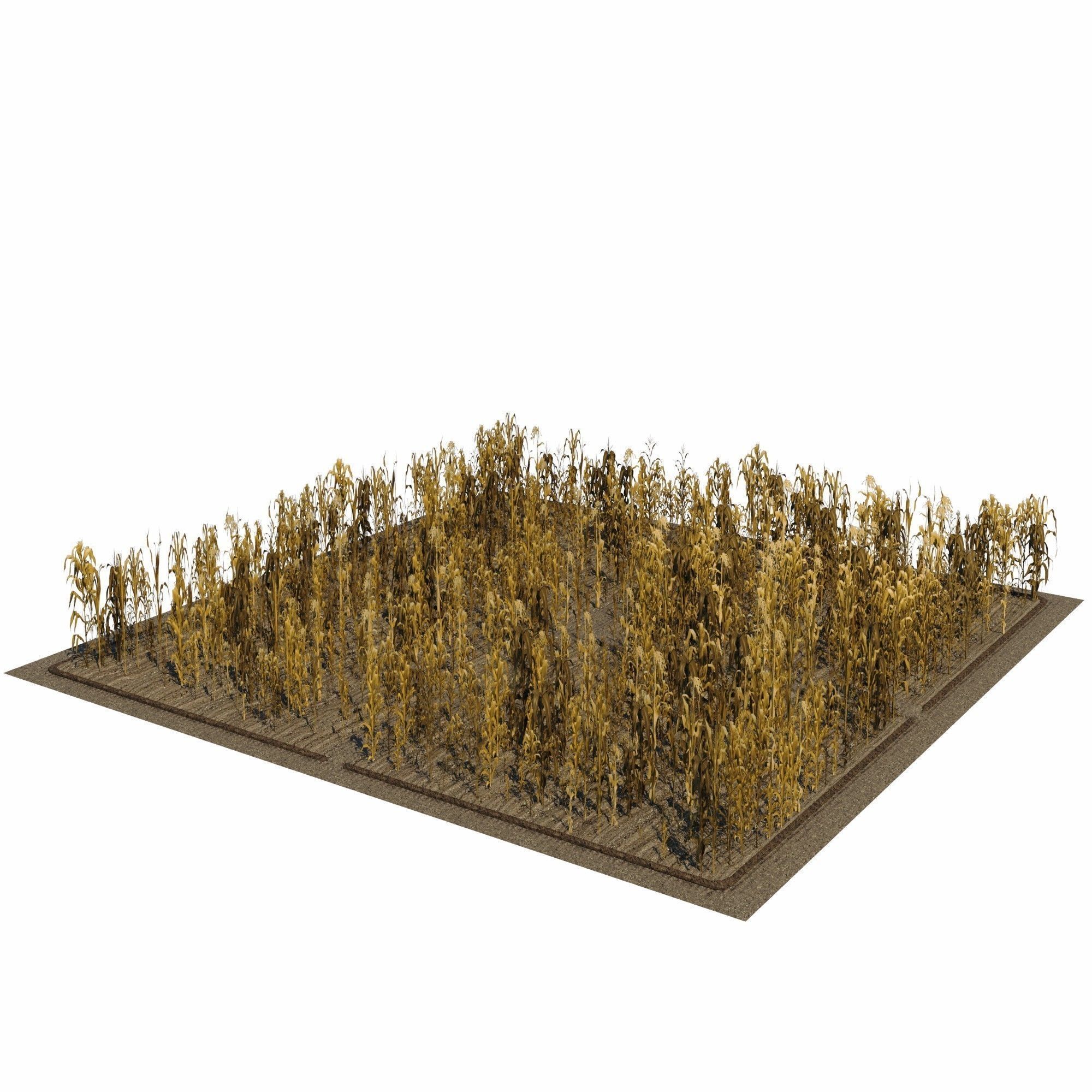 Corn Farm Low-poly 3D model_6