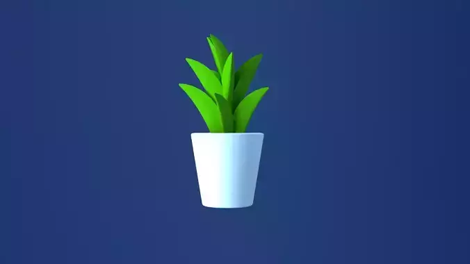 Plant Pot