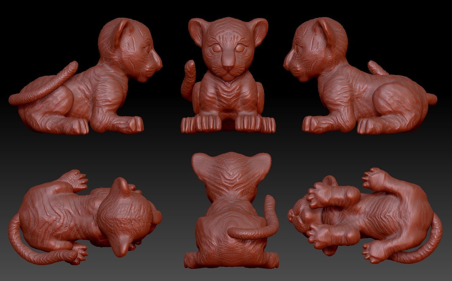 baby tiger 3D print model_1