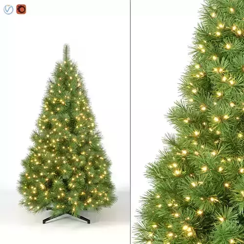 Christmas Tree 5 feet With Lights 3D model