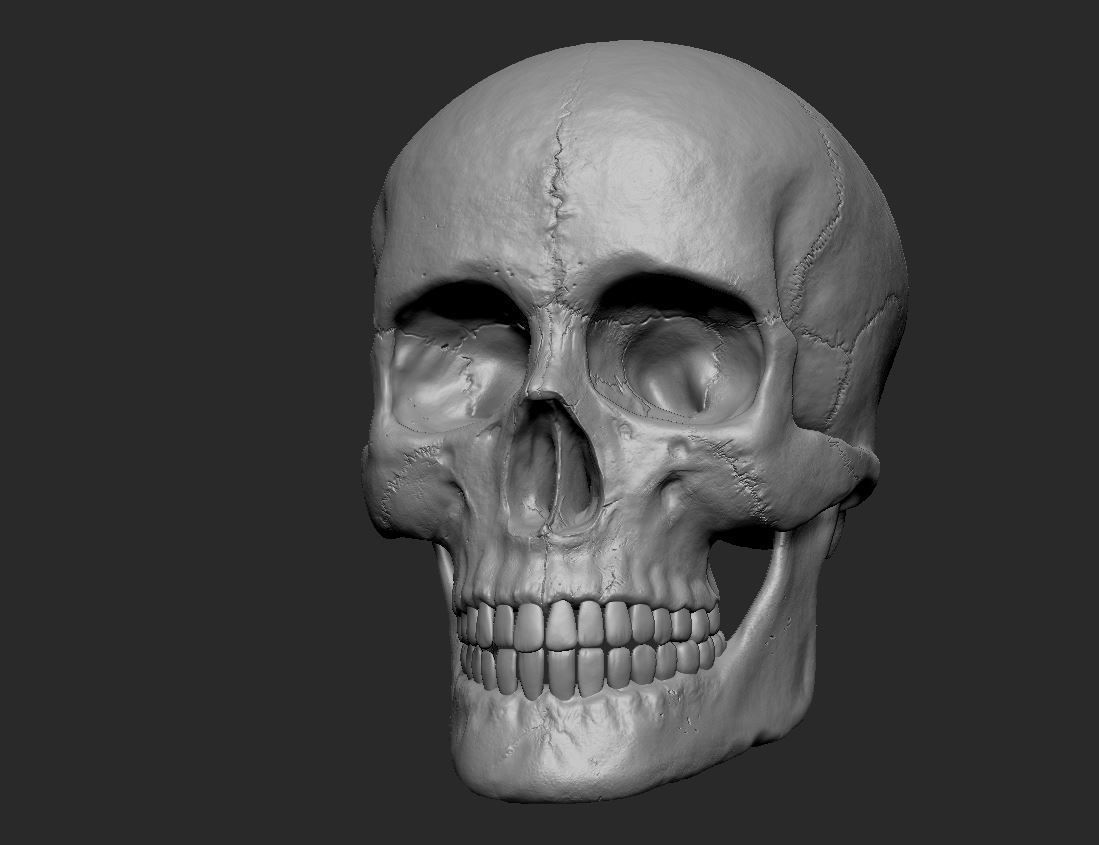 PBR Game Ready Skull human Low-poly 3D model_6
