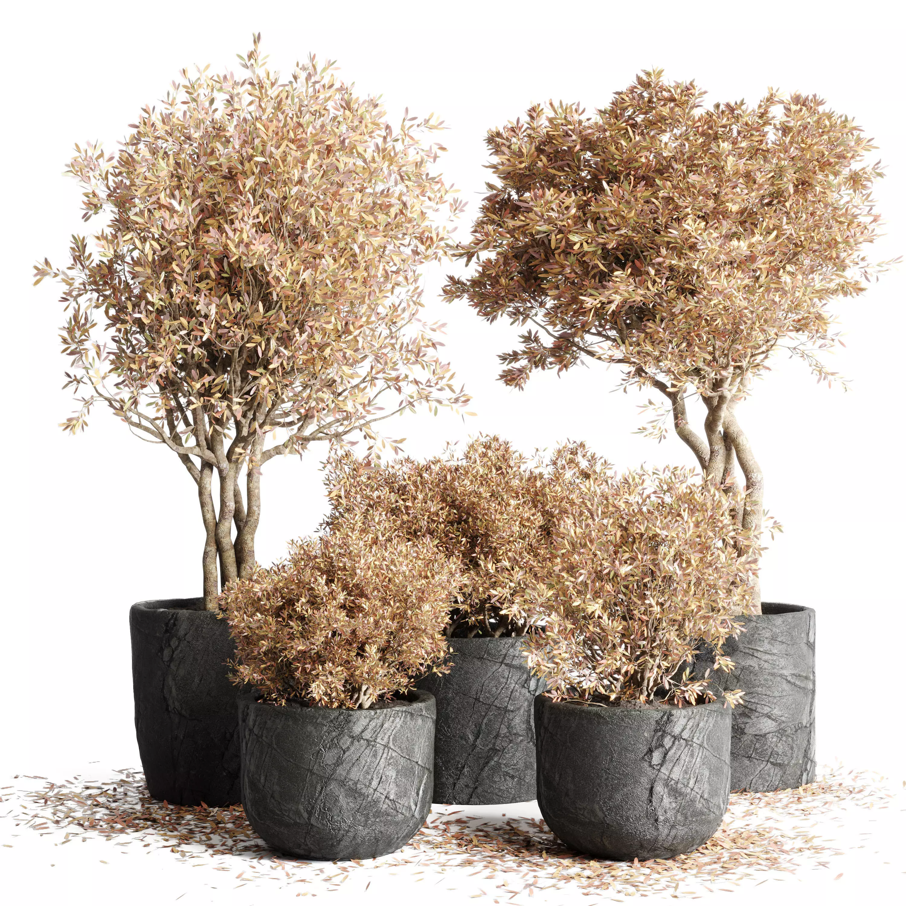 Outdoor Indoor plant dirty stone pots dry tree autumn plants 3D model