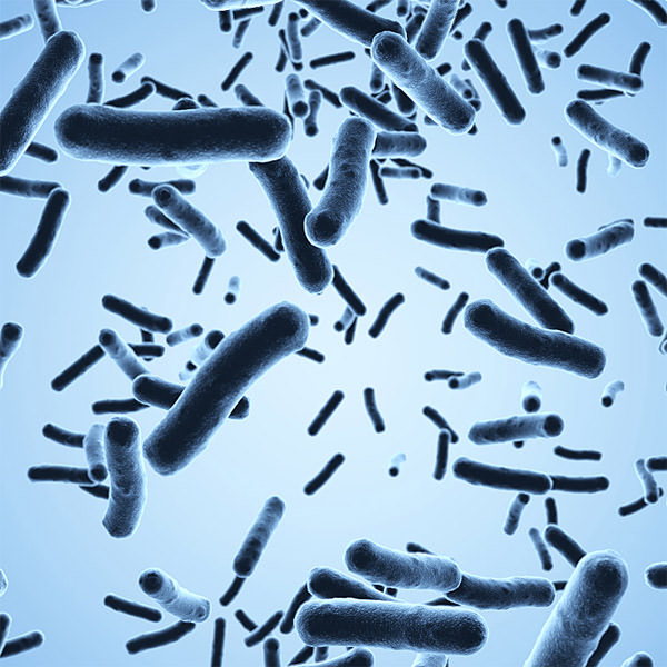 Bacteria under a scanning microscope 3D model_1
