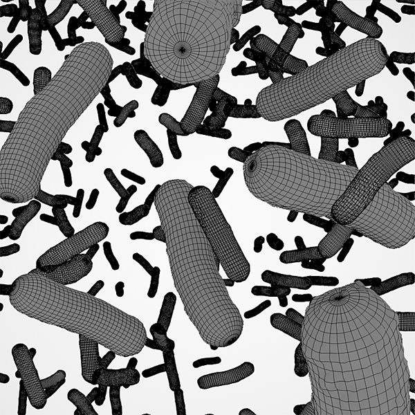 Bacteria under a scanning microscope 3D model_3