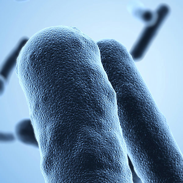 Bacteria under a scanning microscope 3D model_2
