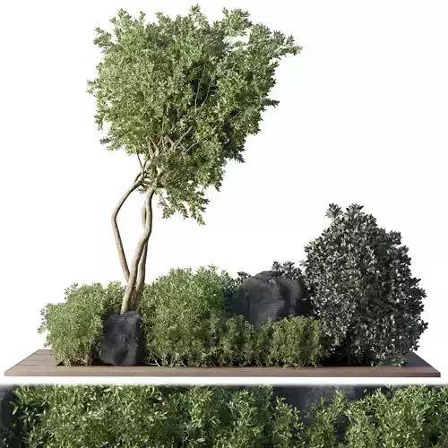  Outdoor Indoor plant 67 green garden plant tree bush 