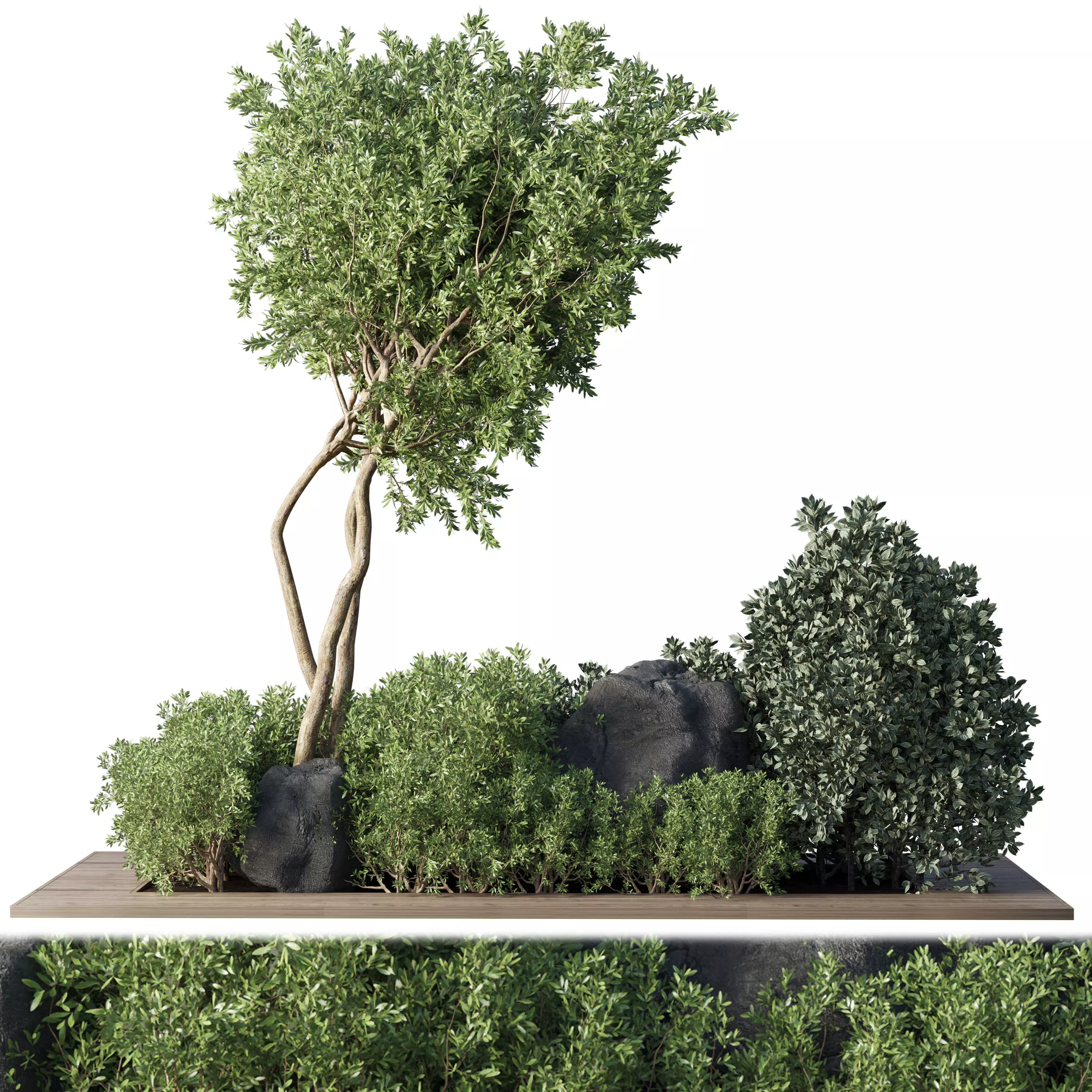 Outdoor Indoor plant 67 green garden plant tree bush 3D model