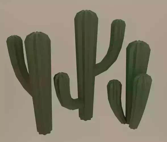 Cactus Low-poly 3D model