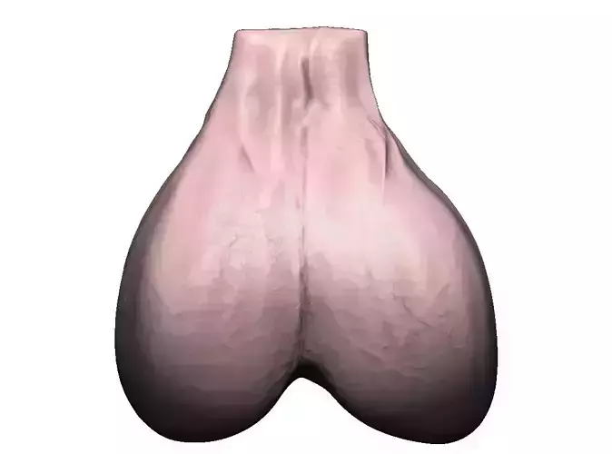 Testical print statue