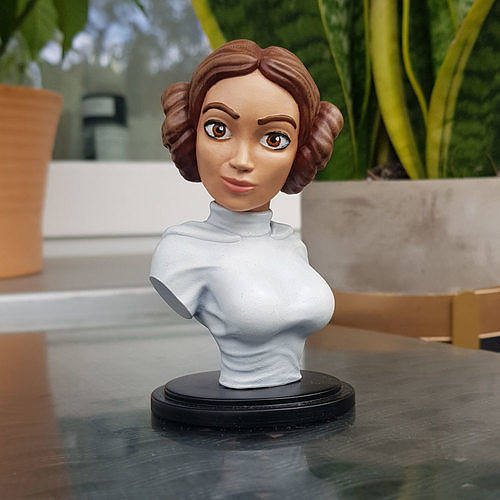 Princess Leia - Stylized Bust 3D print model