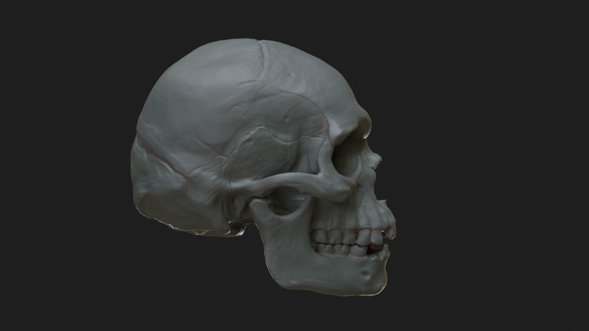 Male Aboriginal Australian Skull For 3D Printing 3D print model_7