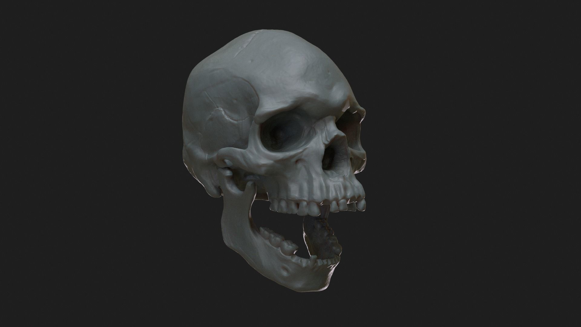Male Aboriginal Australian Skull For 3D Printing 3D print model_4
