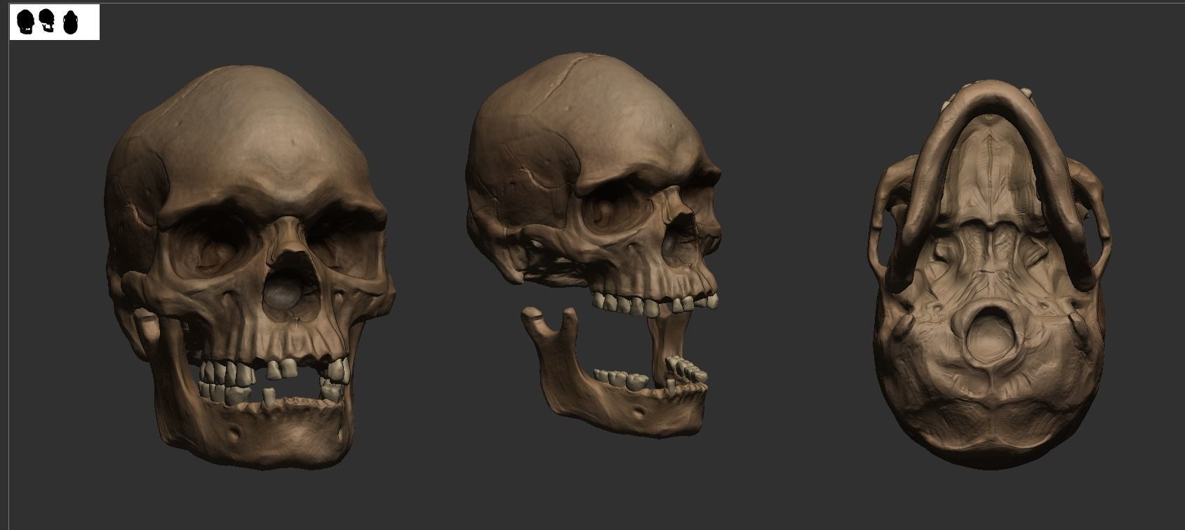 Male Aboriginal Australian Skull For 3D Printing 3D print model_3