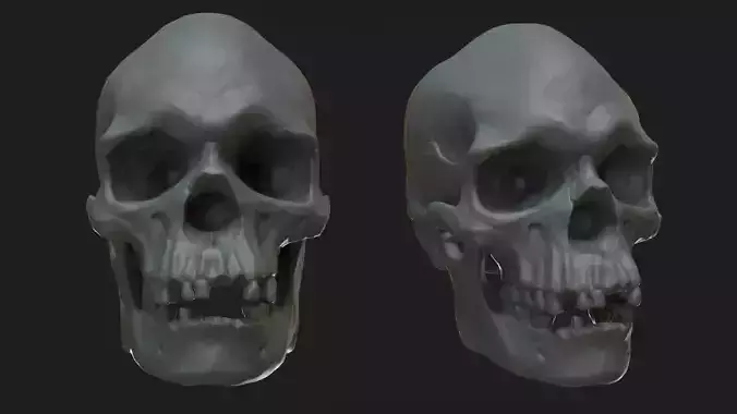 Male Aboriginal Australian Skull For 3D Printing 3D print model