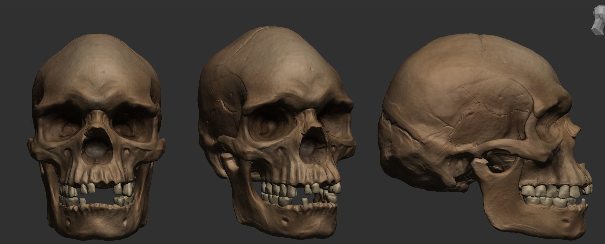 Male Aboriginal Australian Skull For 3D Printing 3D print model_2