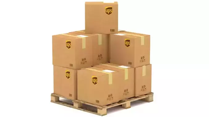 UPS Cardboard Box with Pallet