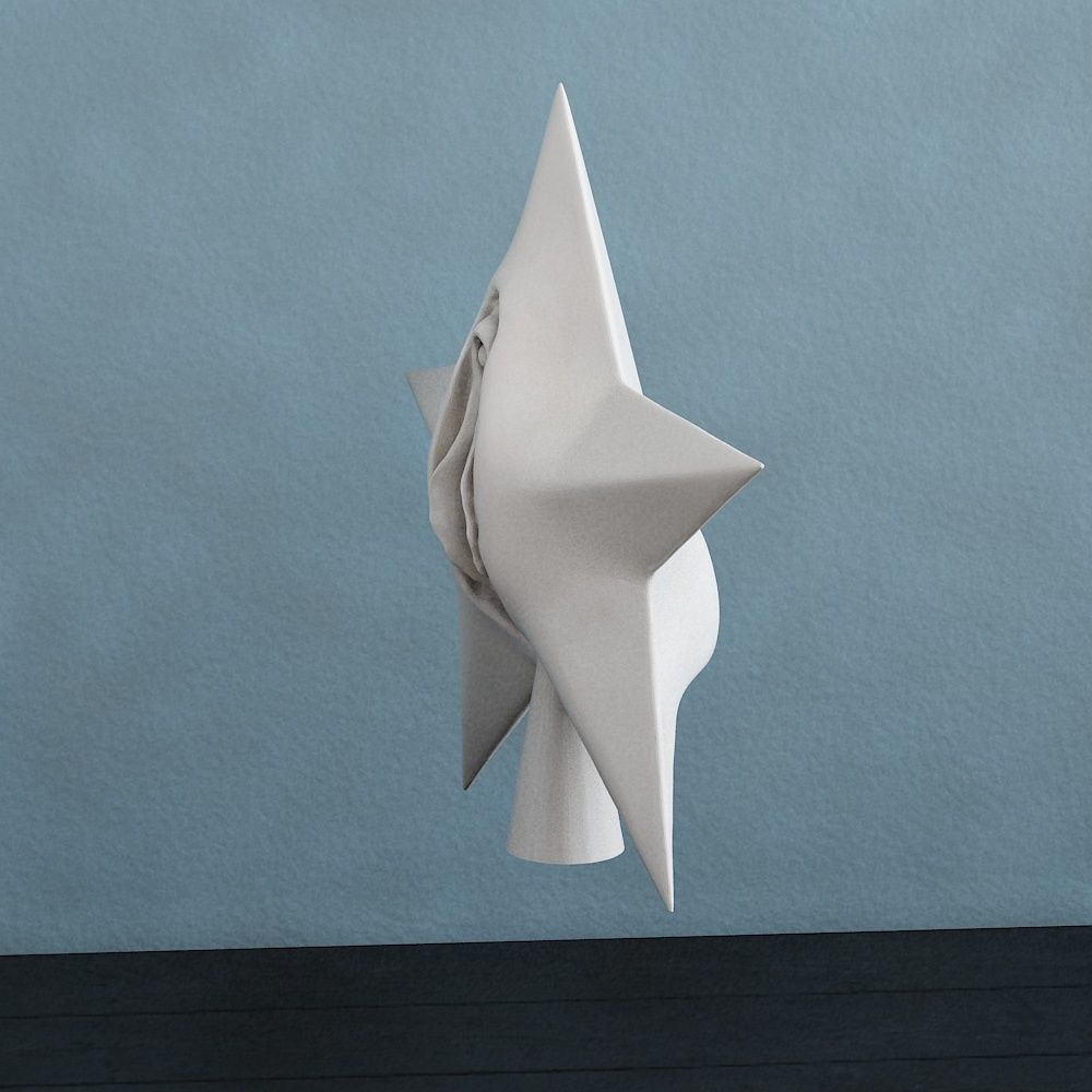 Star vagina 3D print model_3