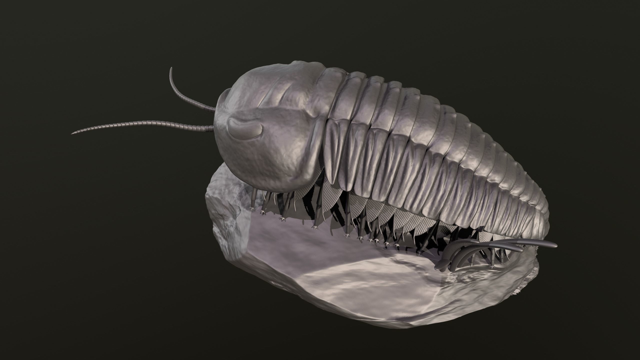 Triarthrus eatoni  environment version 3D print model_3