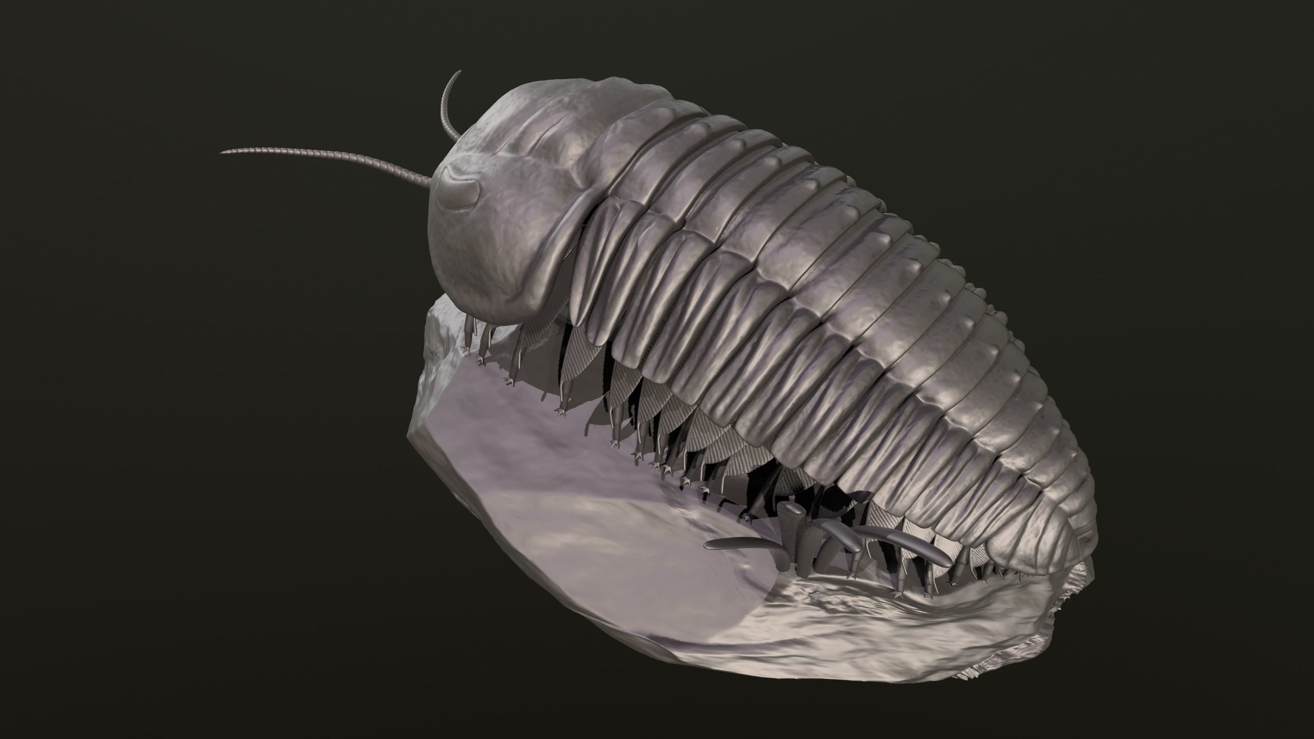 Triarthrus eatoni  environment version 3D print model_4