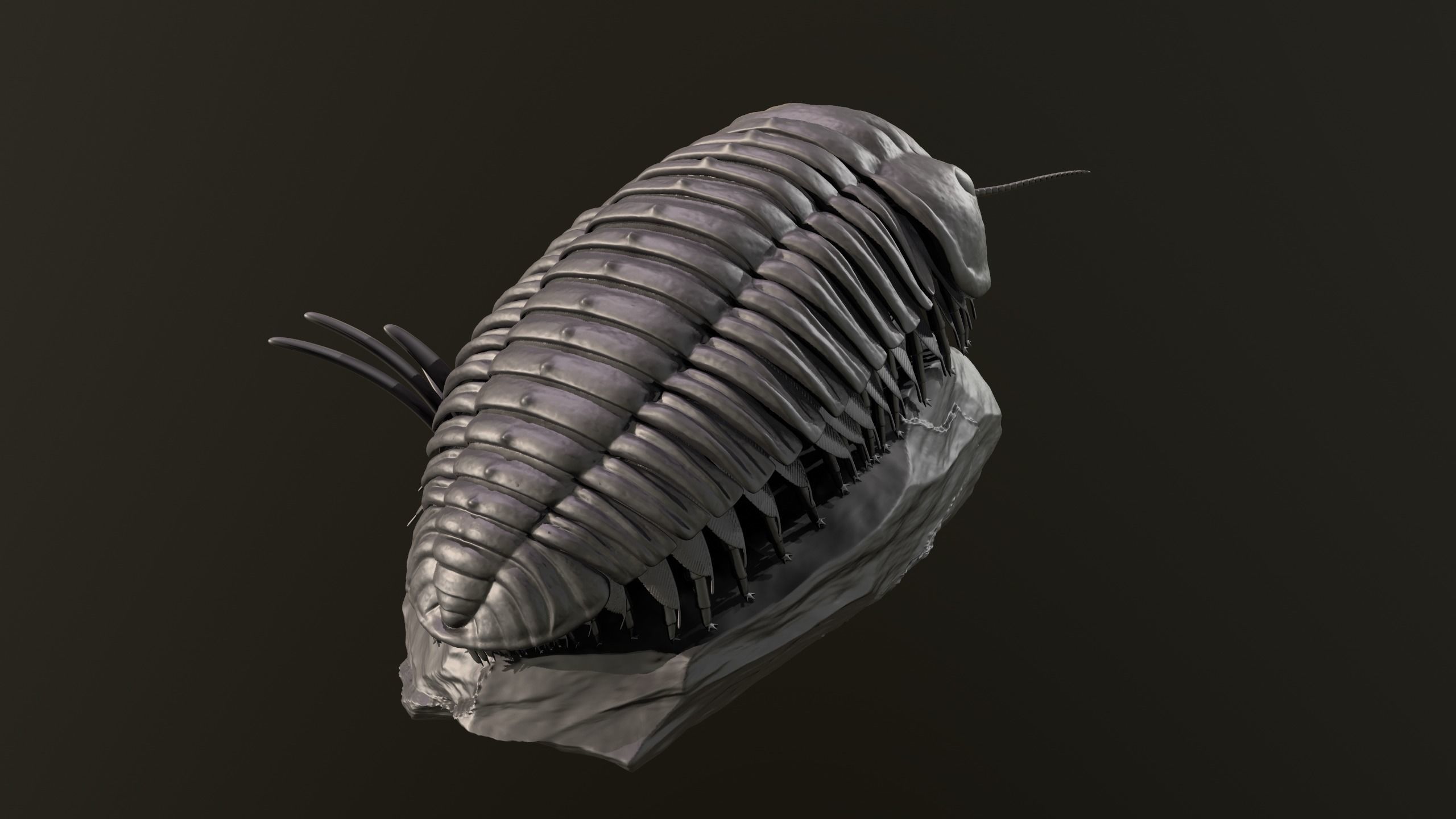 Triarthrus eatoni  environment version 3D print model_6