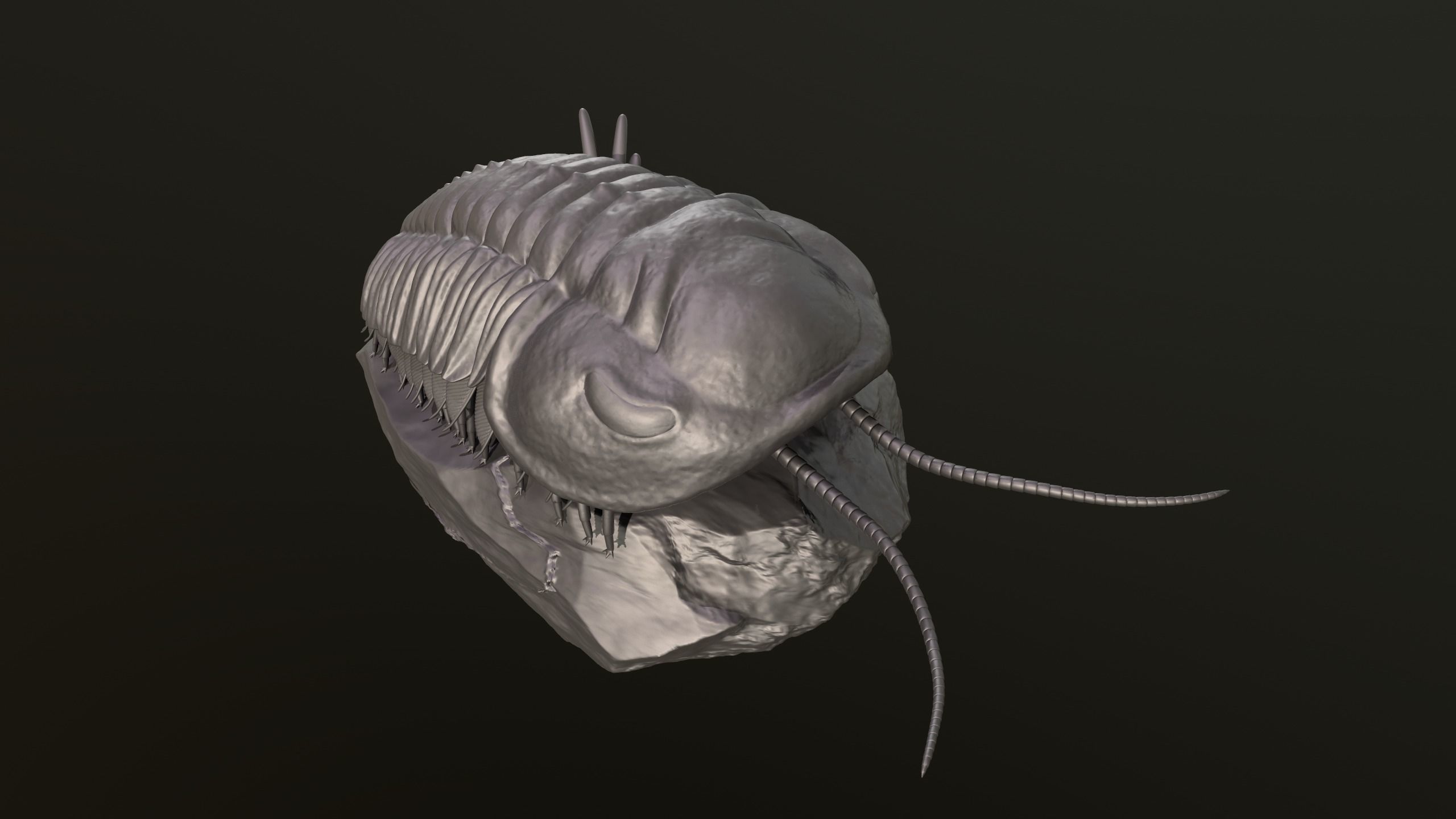 Triarthrus eatoni  environment version 3D print model_10