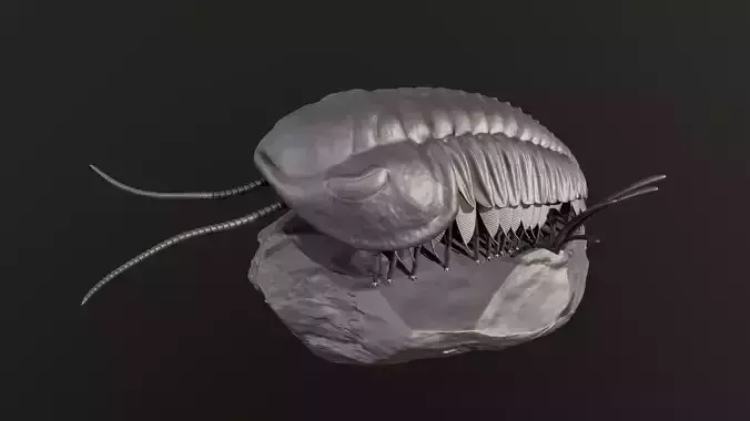 Triarthrus eatoni  environment version