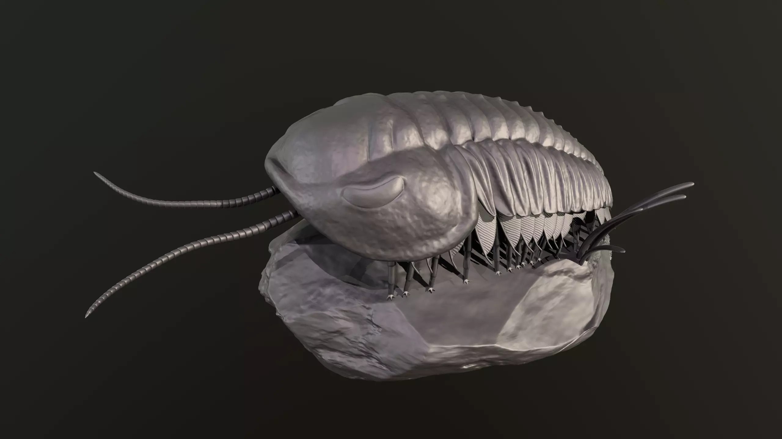 Triarthrus eatoni  environment version 3D print model_0