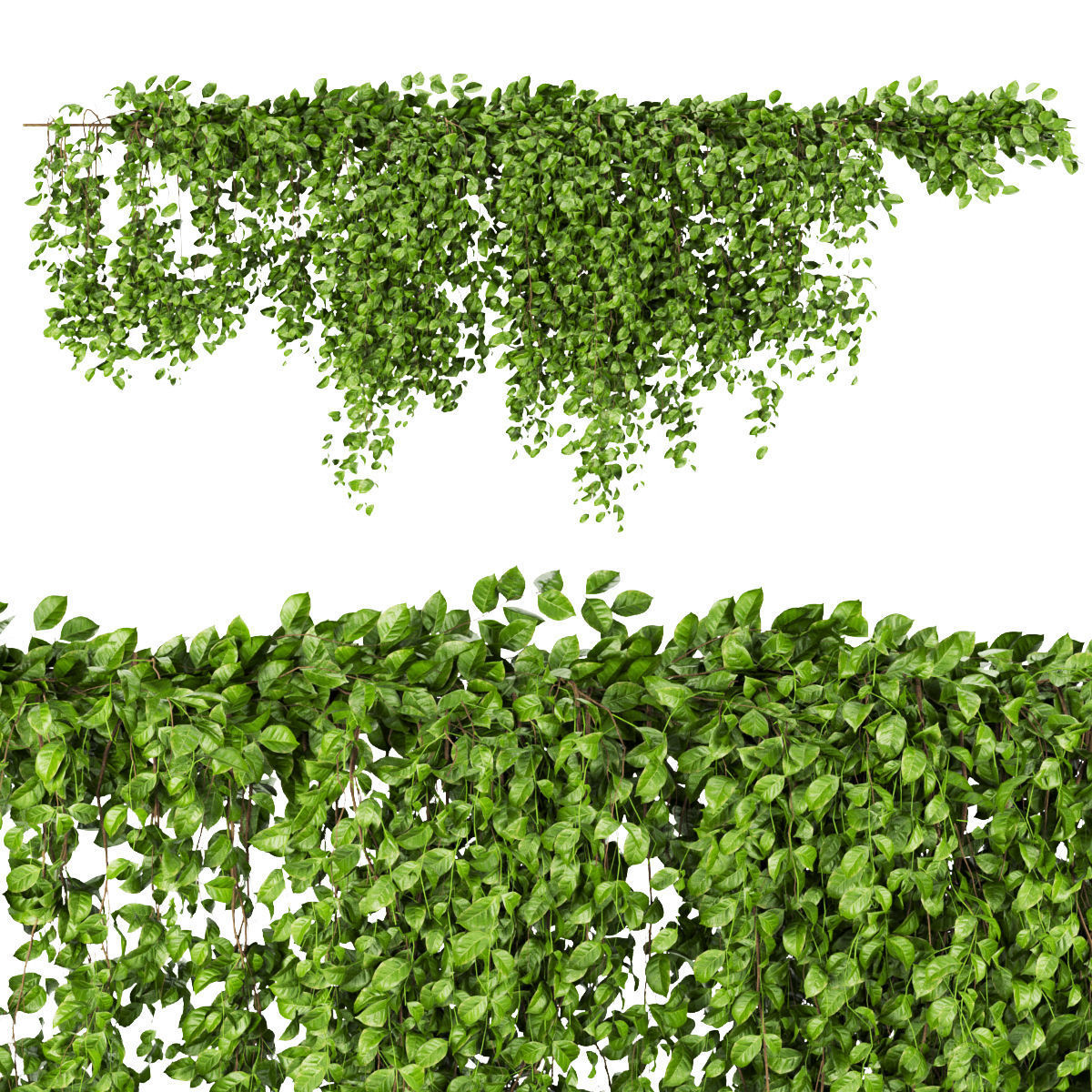 Collection plant vol 266 - Outdoor 3D model_3