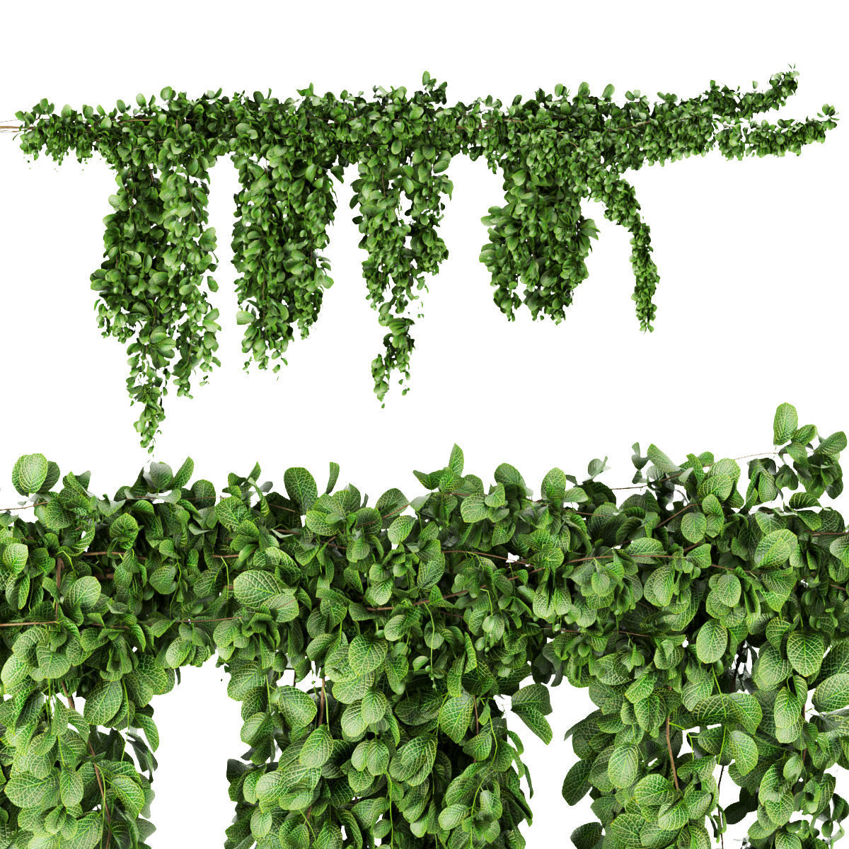 Collection plant vol 266 - Outdoor 3D model_4