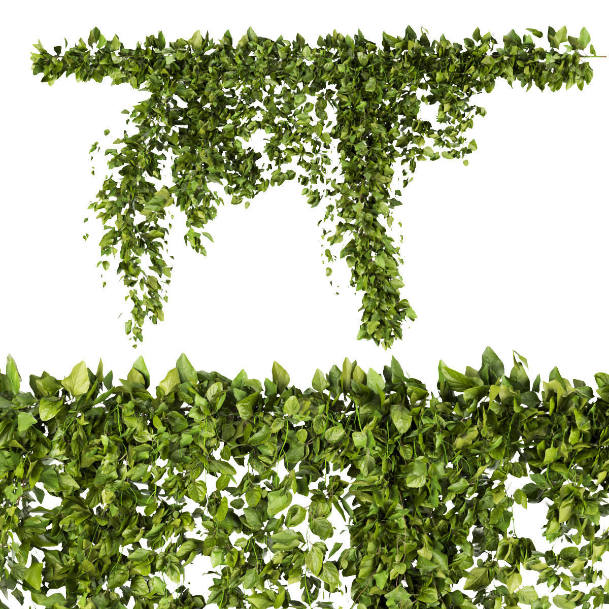 Collection plant vol 266 - Outdoor 3D model_5