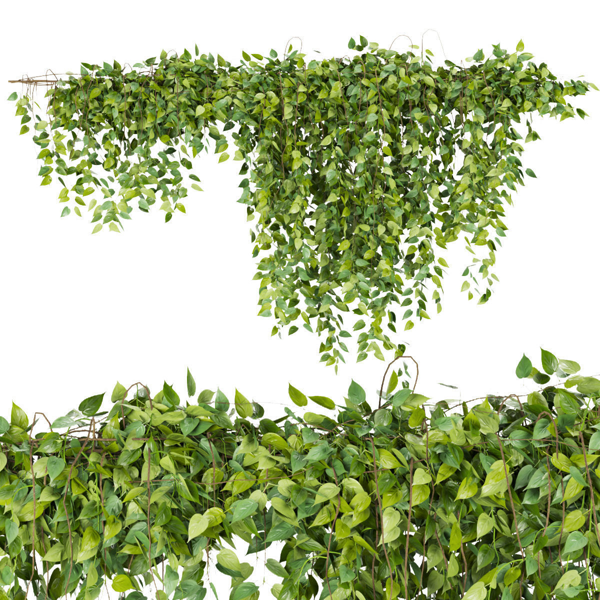 Collection plant vol 266 - Outdoor 3D model_2