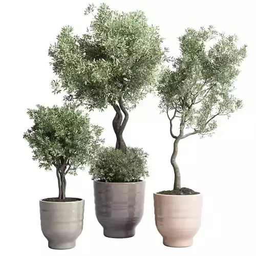 Indoor plant vase handmade pottery concrete plant tree pot