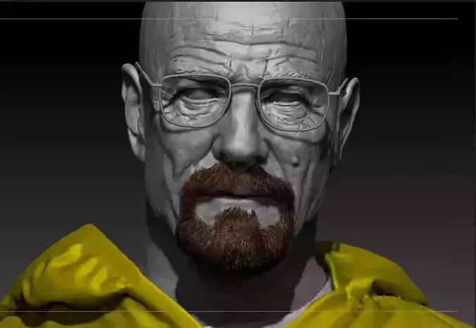 Breaking Bad Bust - Heisenberg - Walter White