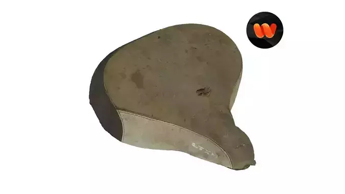 Old Bike Seat Raw Scanned