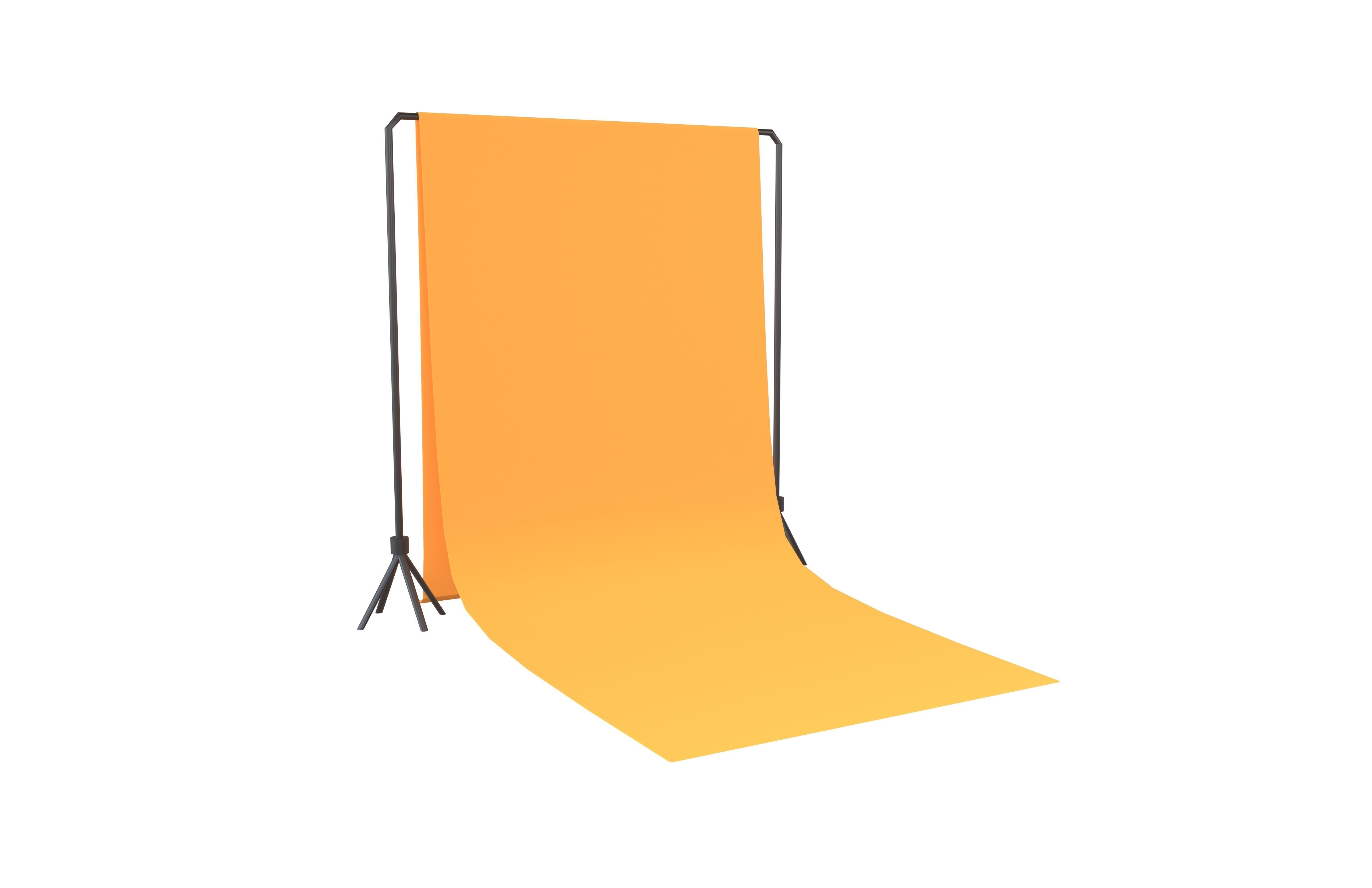 Photography Backdrop v1 003 Low-poly 3D model_1