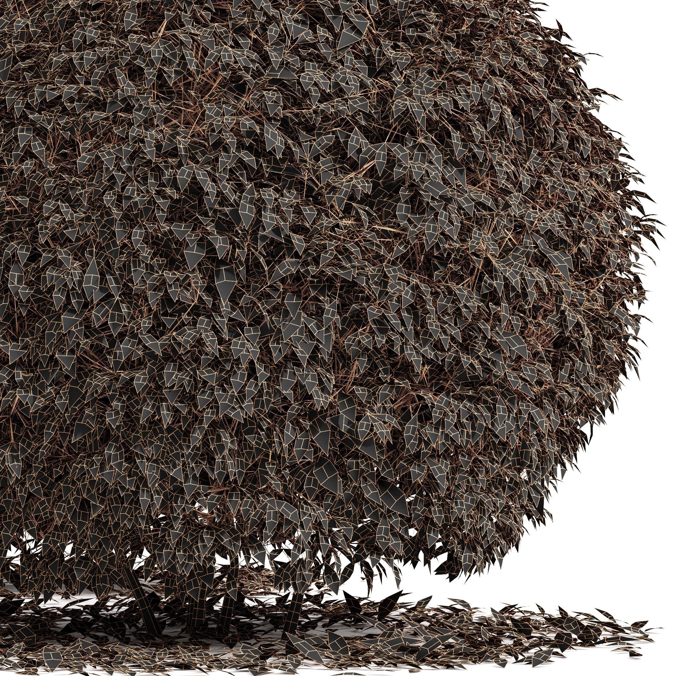 Dwarf yaupon holly fall 3D model_3