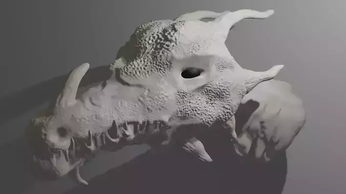 Dragon Head