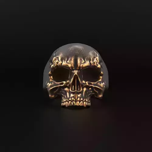Ring Skull ztl stl obj
