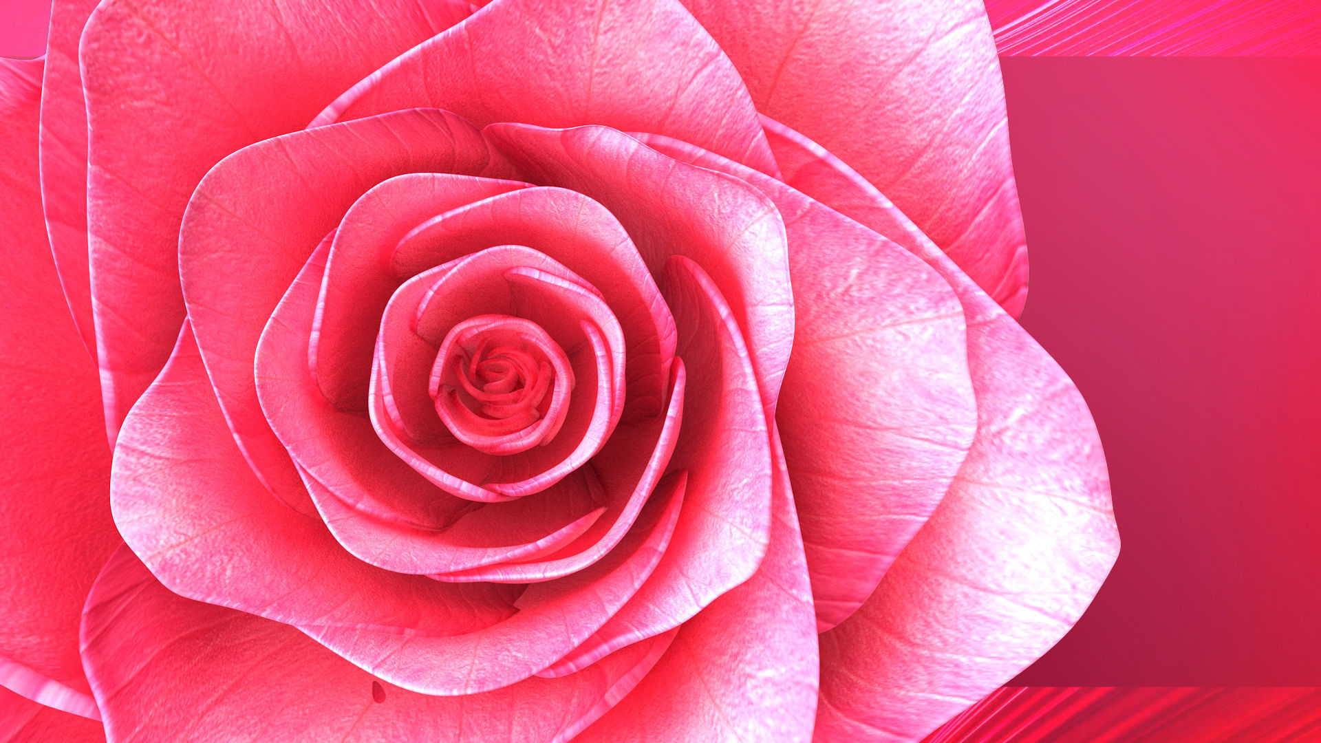 Rose Blast Animated 3D model_8