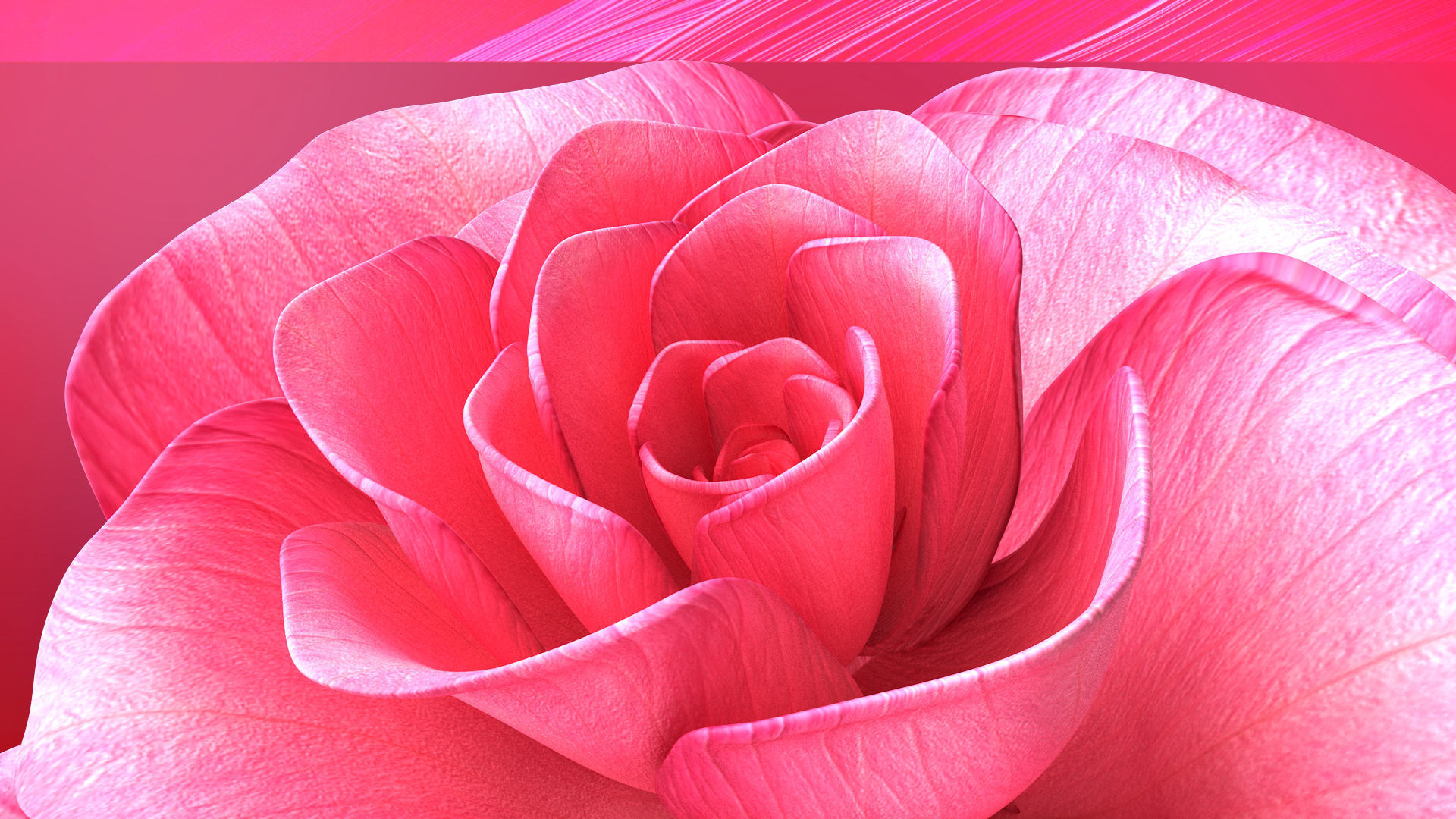 Rose Blast Animated 3D model_9